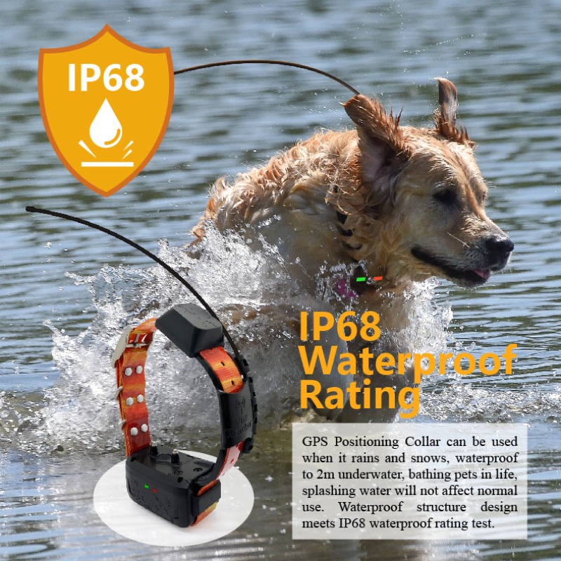Pet Supplies Login - GPS-менеджер ограждения для собак-изготовителей: изготовленные на