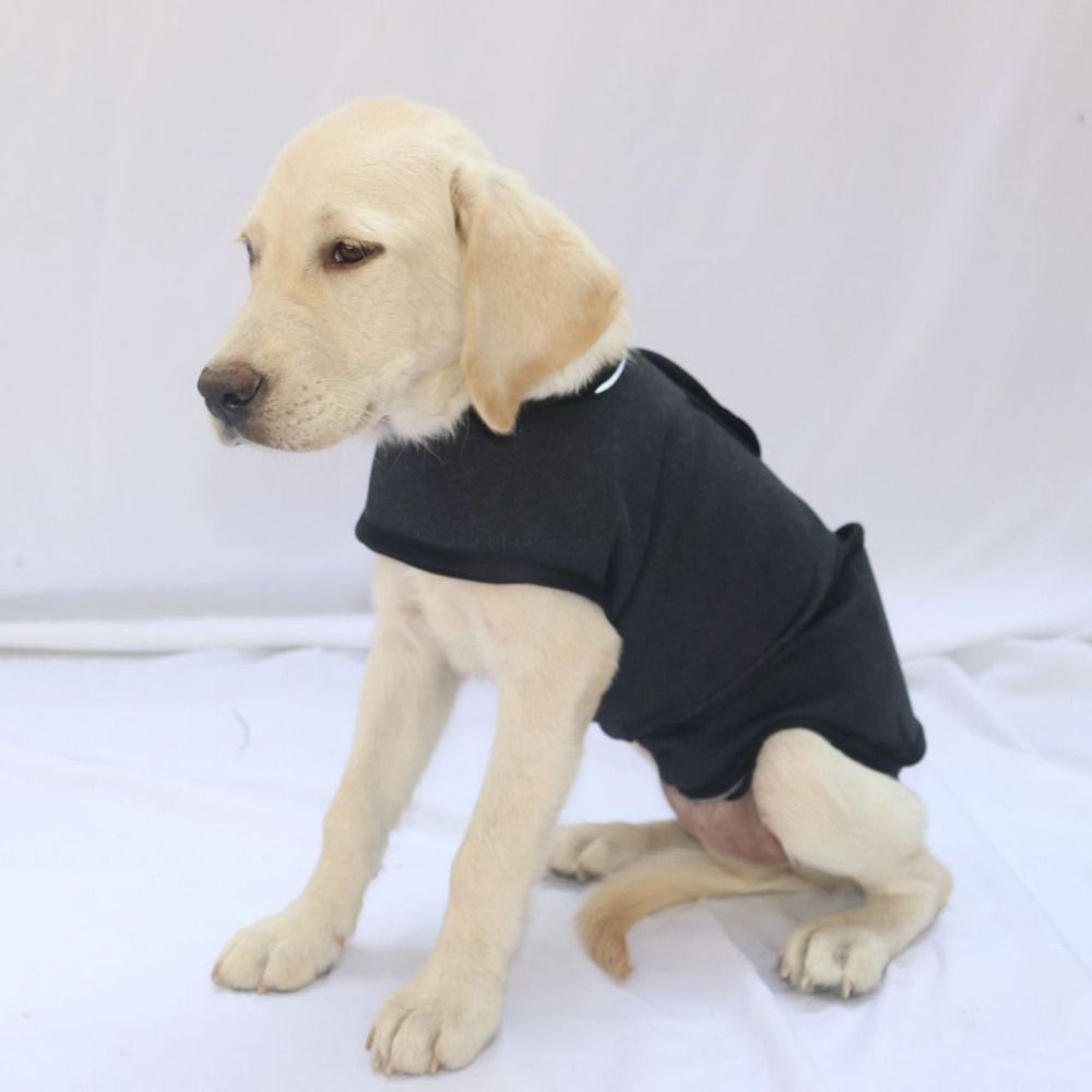 Dog Anxiety Vest - Теплый жилет для домашних животных, дышащая