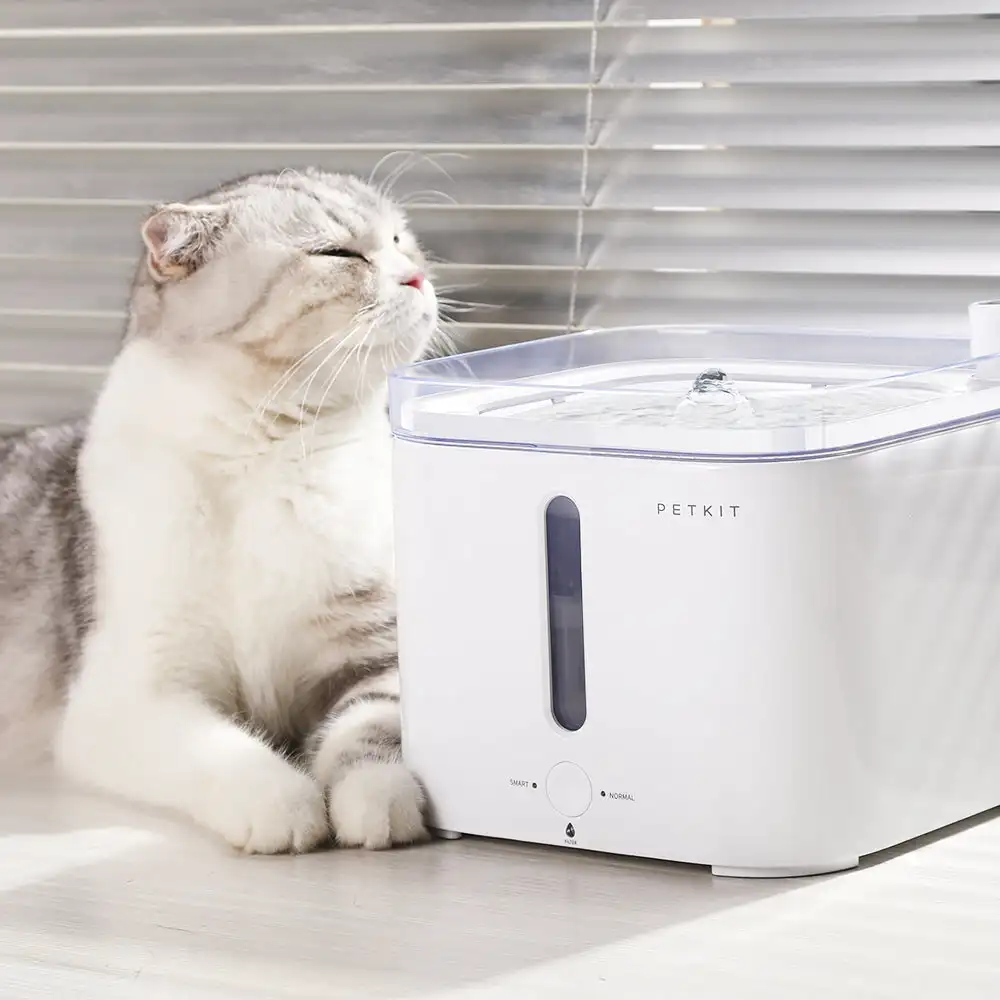 CANBOUN EVERSWEET Series Умный – обзор и цена Automatic Pet Feeder