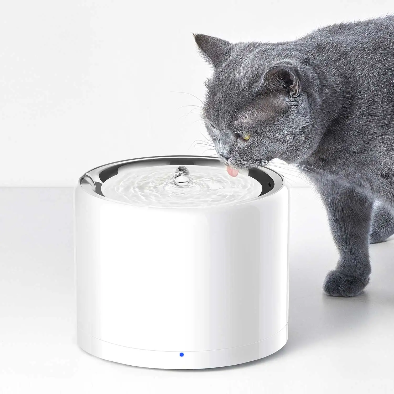 CANBOUN EVERSWEET Series Умный – обзор и цена Automatic Pet Feeder