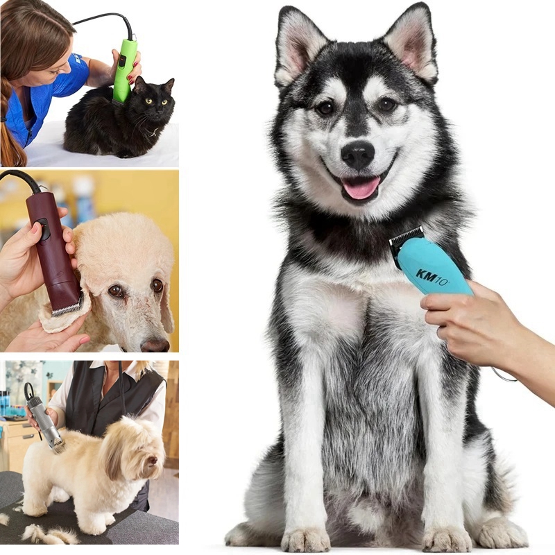 Съемное широкое лезвие для жив – обзор и цена Dog Grooming Clippers