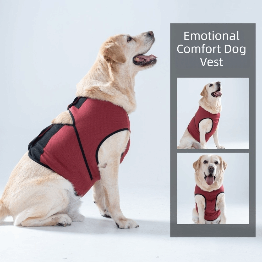 Практичный дышащий успокаивающ – обзор и цена Dog Anxiety Vest