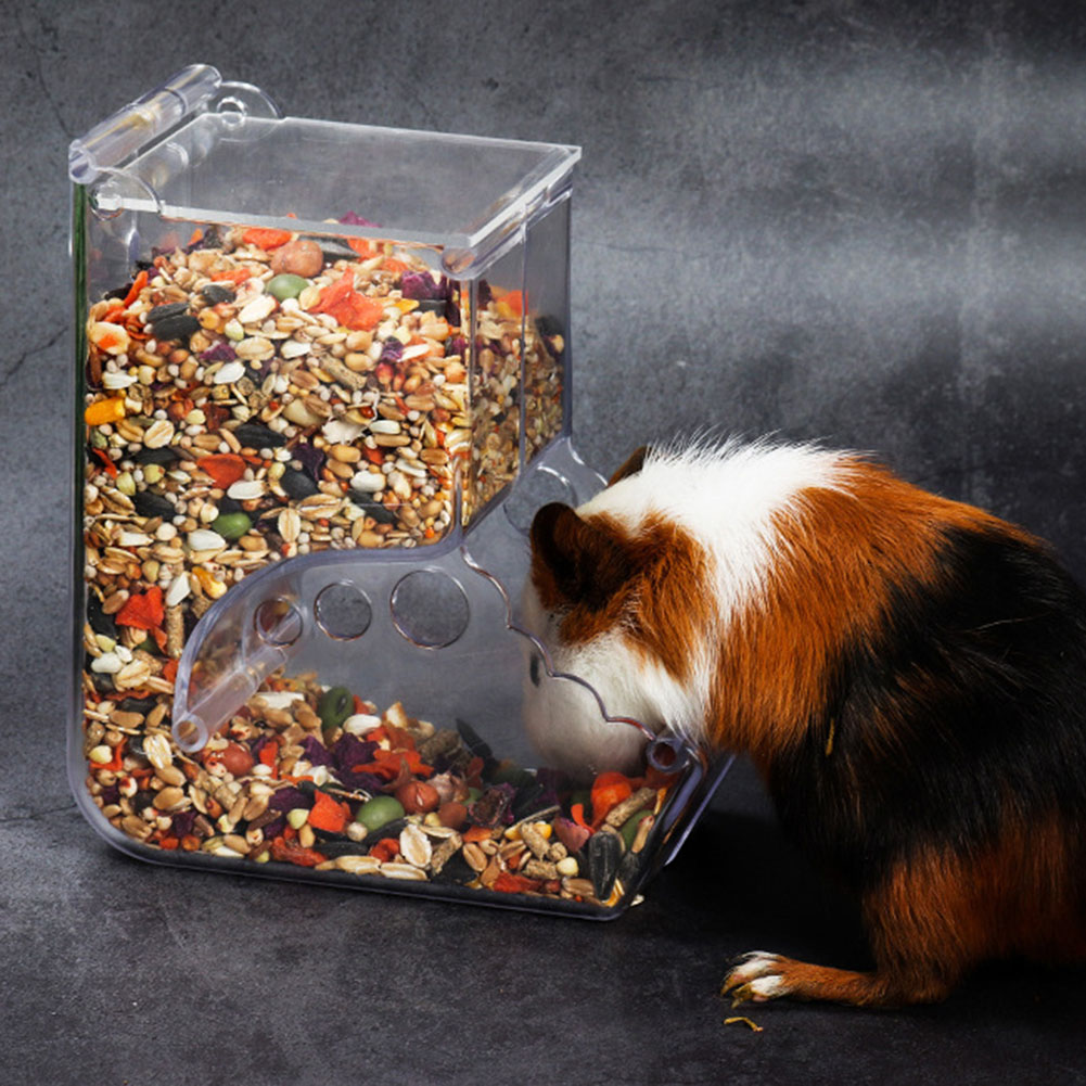    2-1 шт., автоматическая ко – обзор и цена Automatic Pet Feeder