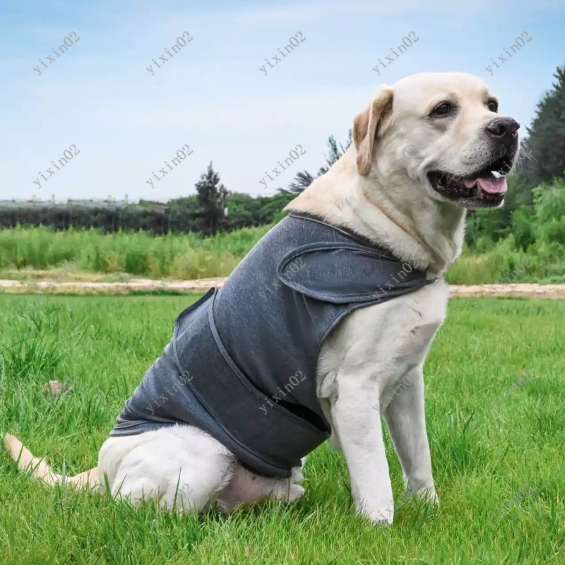 Классический дышащий жилет-ант – обзор и цена Dog Anxiety Vest