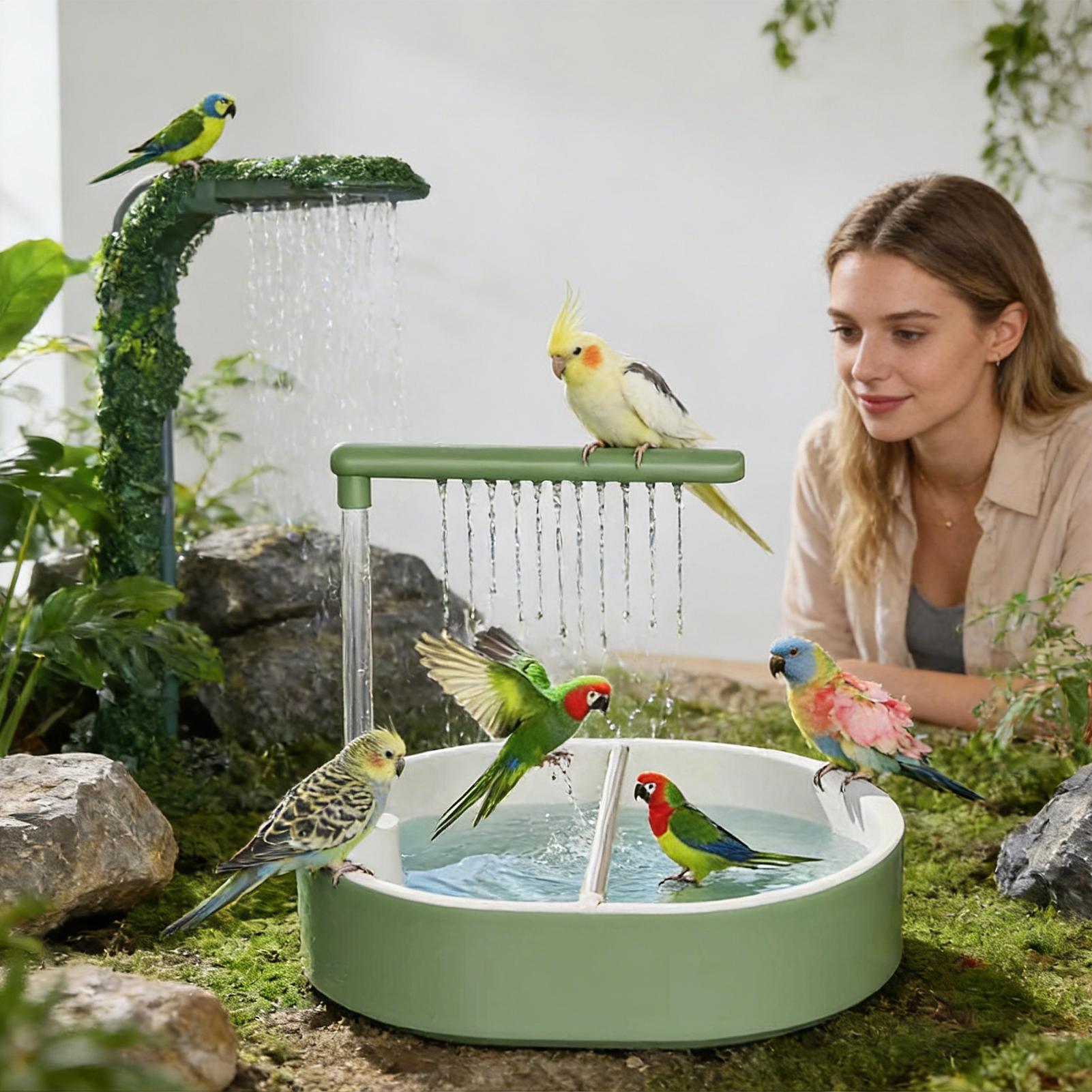 Автоматическая ванночка для пт – обзор и цена Bird Cage Parrot