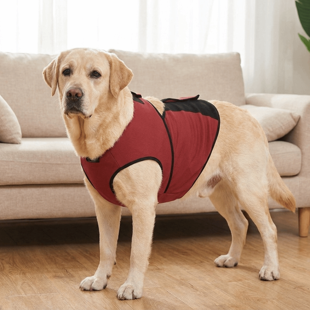 Практичный дышащий успокаивающ – обзор и цена Dog Anxiety Vest