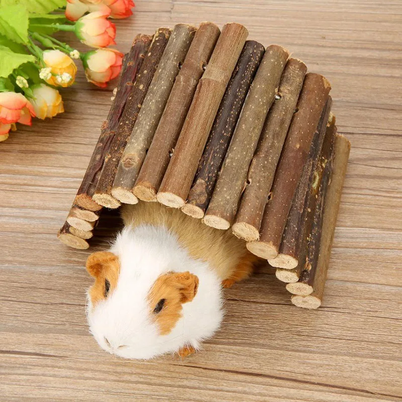 Маленький моляр для домашних ж – обзор и цена Pet Supplies Login