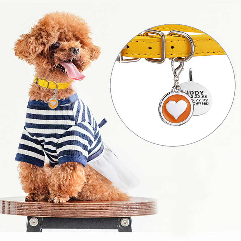 Кожаный ошейник для домашних ж – обзор и цена Pet Supplies Login