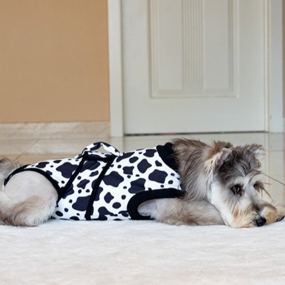 Универсальный дышащий костюм д – обзор и цена Dog Anxiety Vest