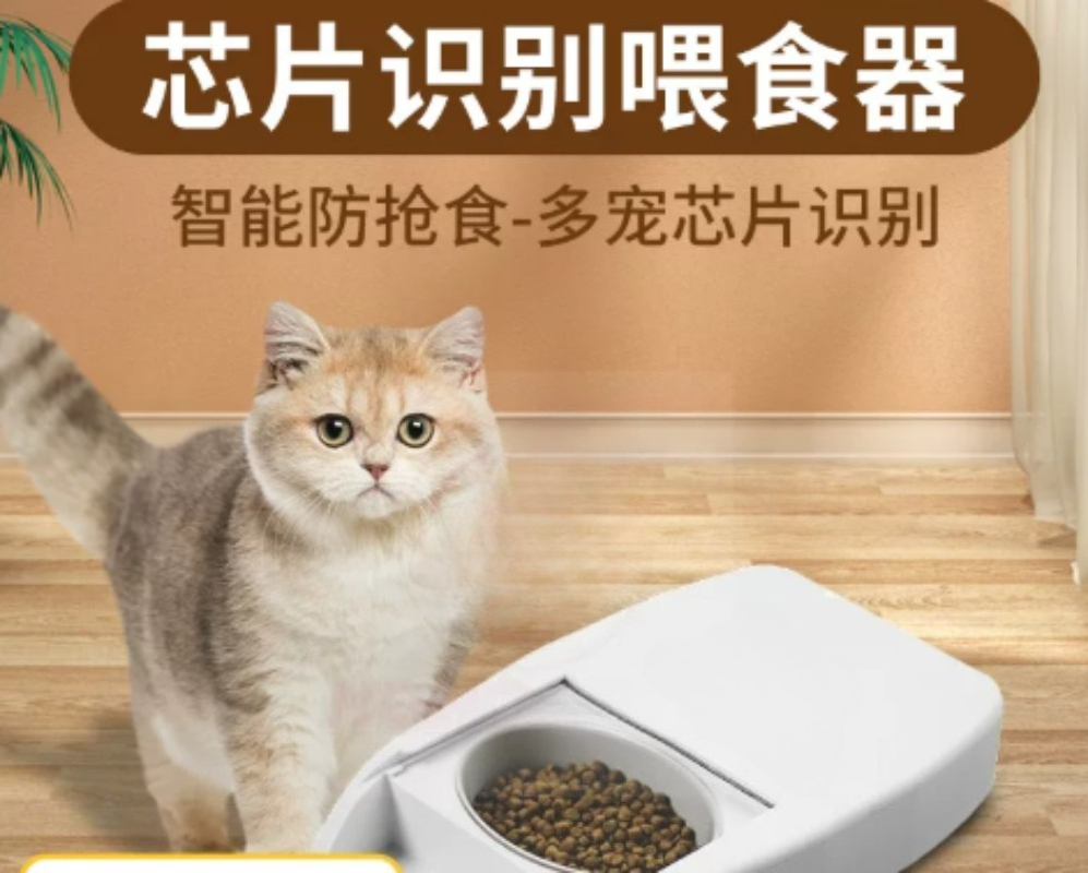 Умная автоматическая кормушка  – обзор и цена Automatic Pet Feeder