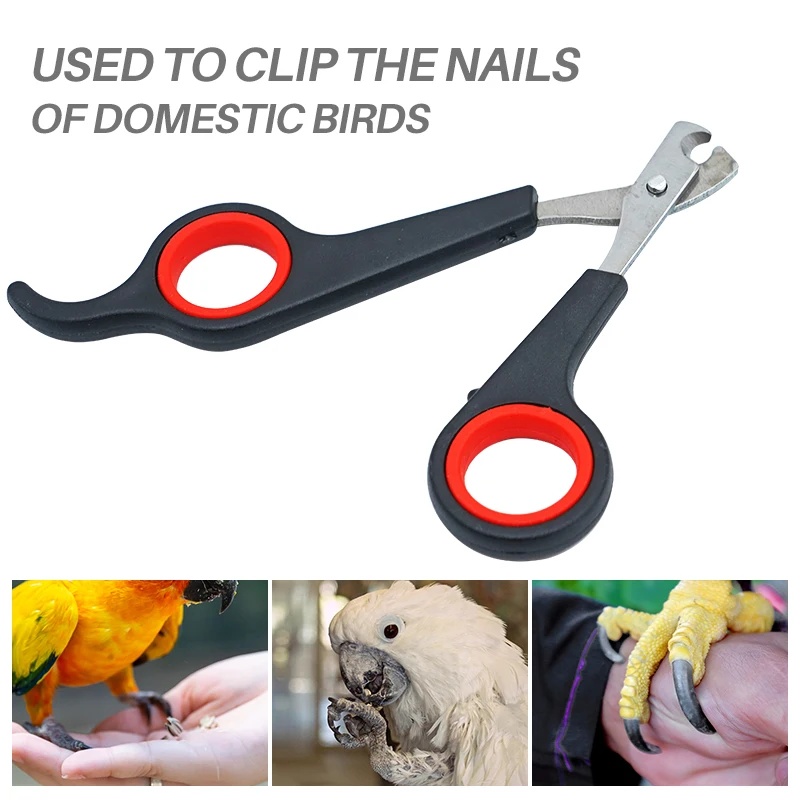 Ножницы для стрижки когтей дом – обзор и цена Dog Grooming Clippers