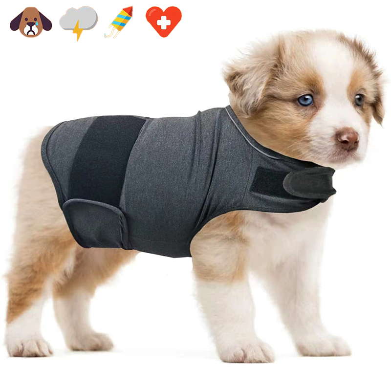 Дышащий жилет для собак от тре – обзор и цена Dog Anxiety Vest