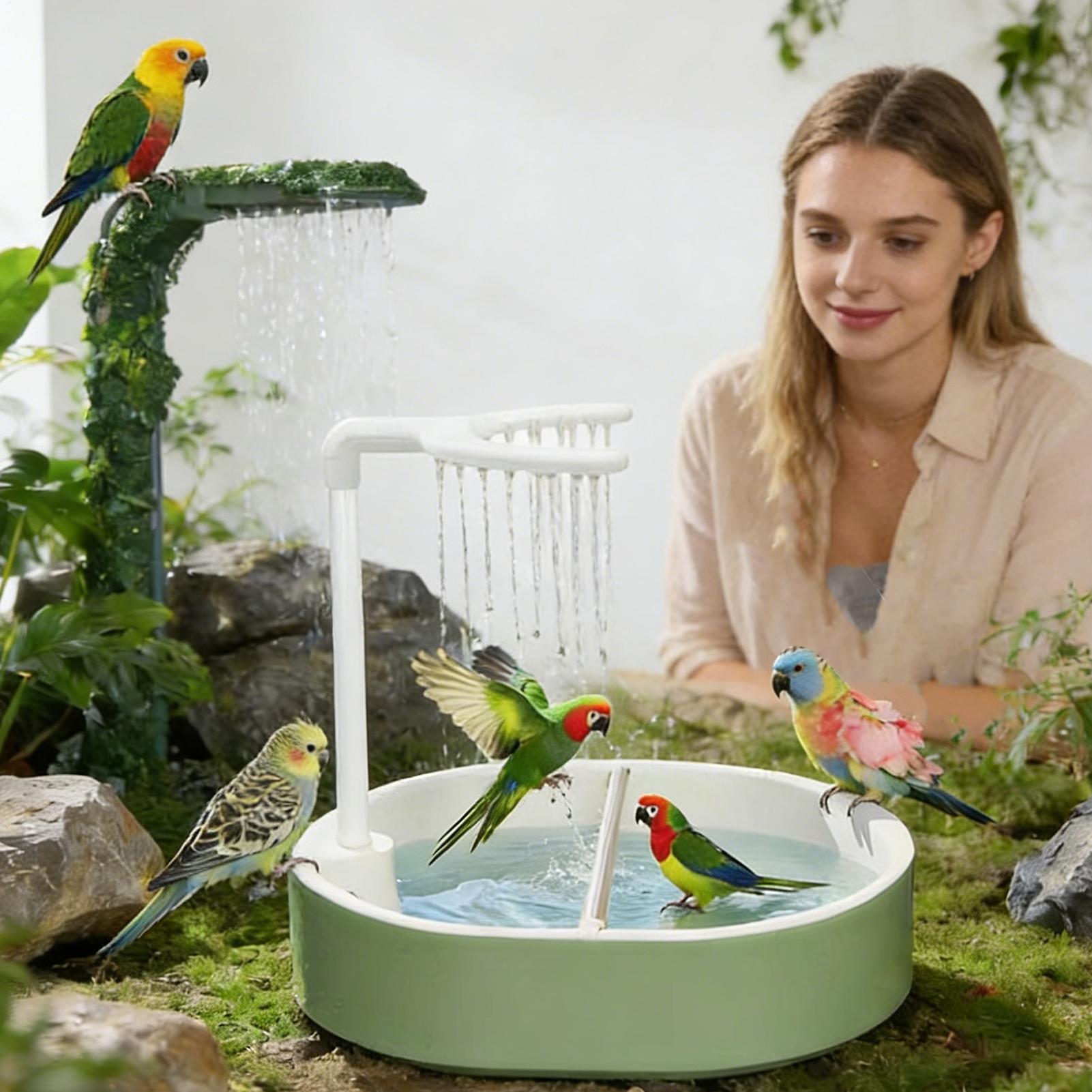 Автоматическая купалка для пти – обзор и цена Bird Cage Parrot
