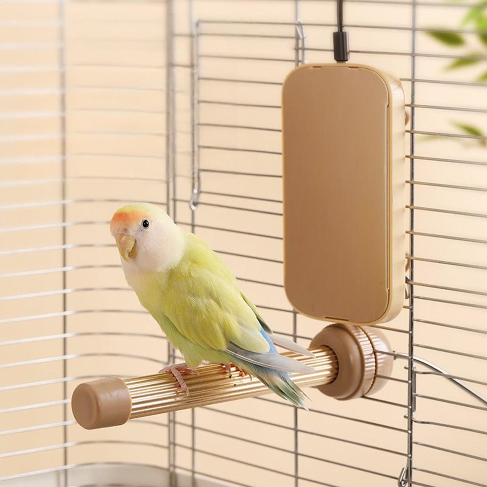 Обогреватель для птичьих клето – обзор и цена Bird Cage Parrot