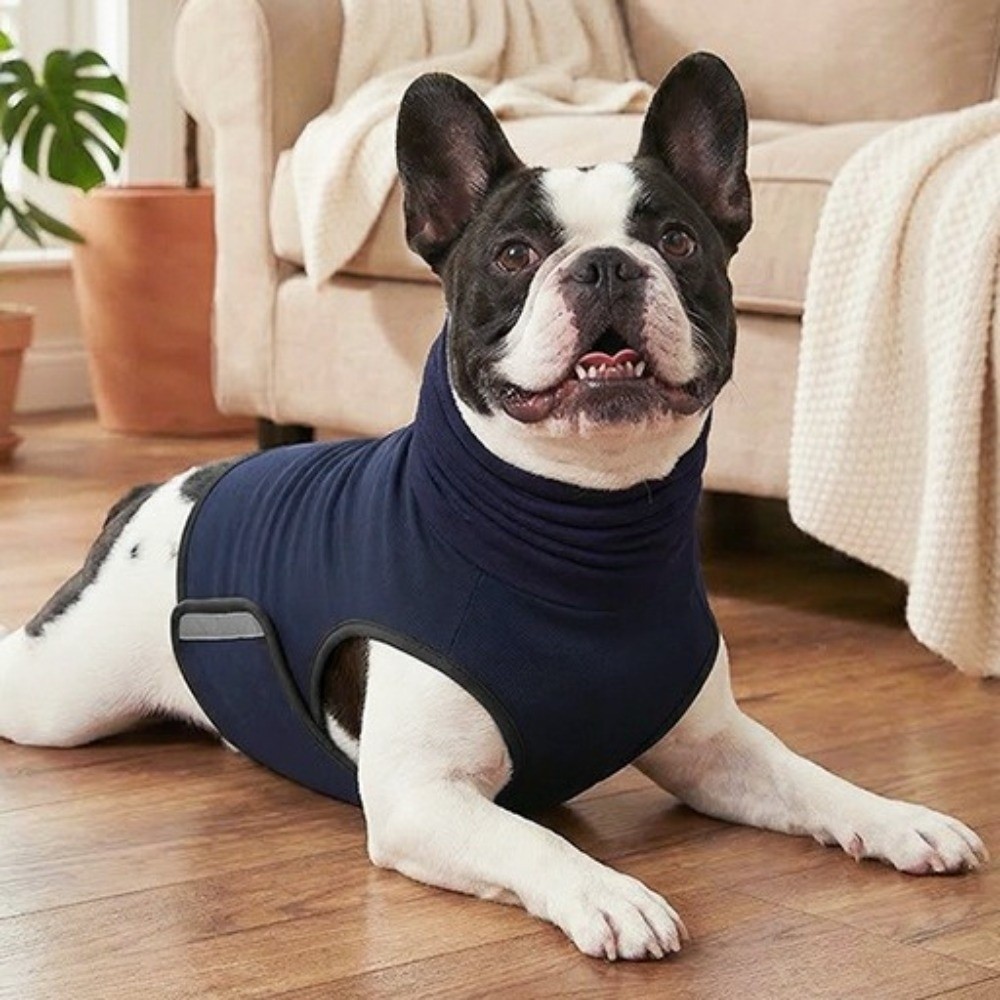 Шумопоглощающий жилет для соба – обзор и цена Dog Anxiety Vest