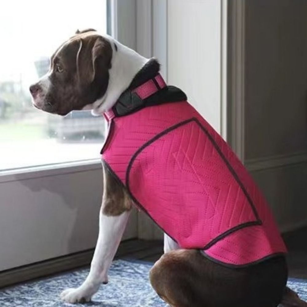 Практичный эластичный жилет дл – обзор и цена Dog Anxiety Vest