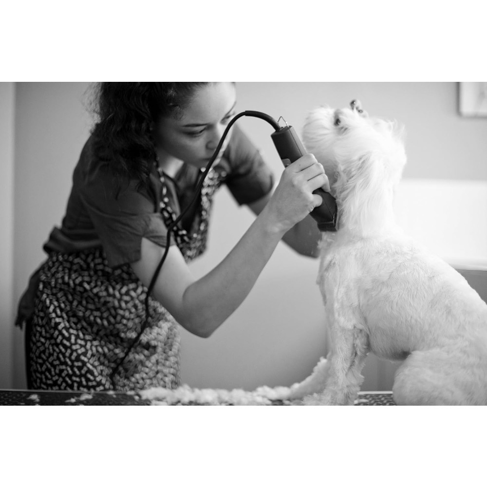 Уличная мебель UltraEdge: Проф – обзор и цена Dog Grooming Clippers